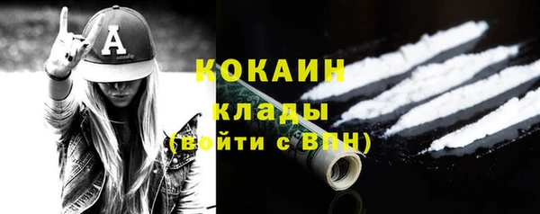 mix Богородицк