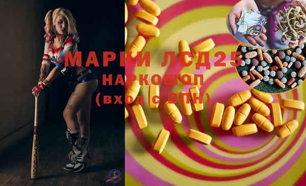 гашиш Богданович