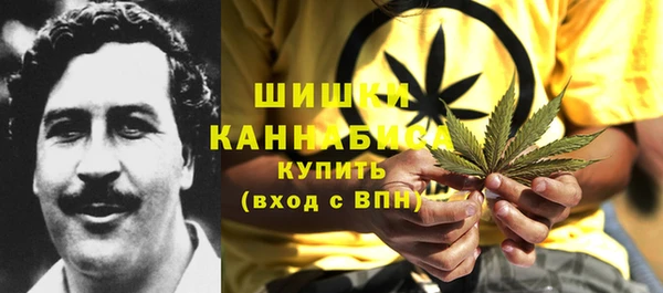 mix Богородицк